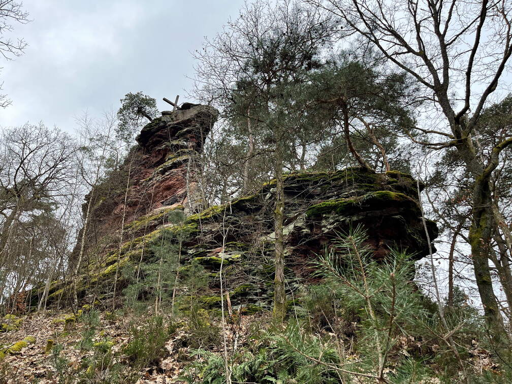 24-03-01 13-44-35 8879